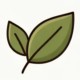 100% Natural & Clean Ingredients